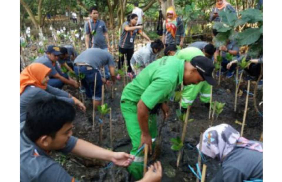 Kali ini, Program CSR MTI Dimanfaatkan untuk Perbaikan Lingkungan