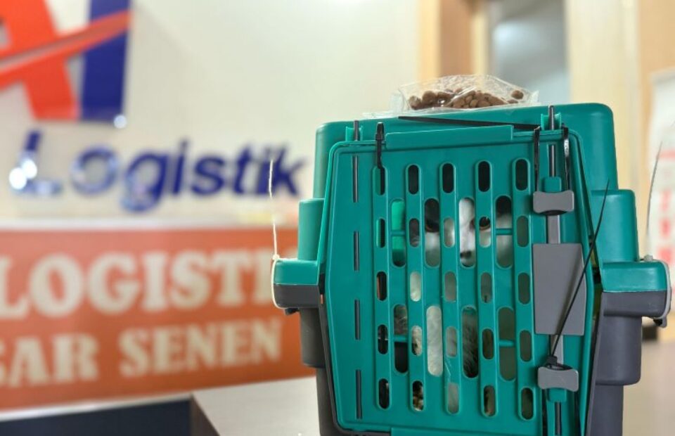 KAI Logistik Fasilitasi Pengiriman Mudik Nyaman Bersama Hewan Peliharaan