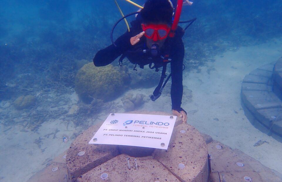 Pelindo Petikemas Installs Artificial Reefs Technology in Karimunjawa