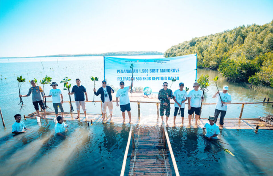 Meratus Tanam 1.500 Mangrove di Pesisir Makassar, Peringati Hari Lingkungan dan Laut Sedunia
